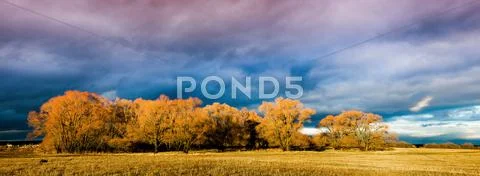 Panorama Stock Photos