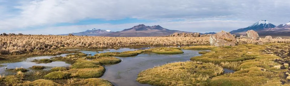 Panorama Stock Photos