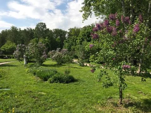 Panorama Stock Photos