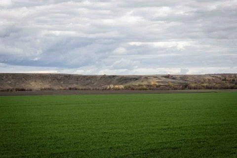 Panorama Stock Photos