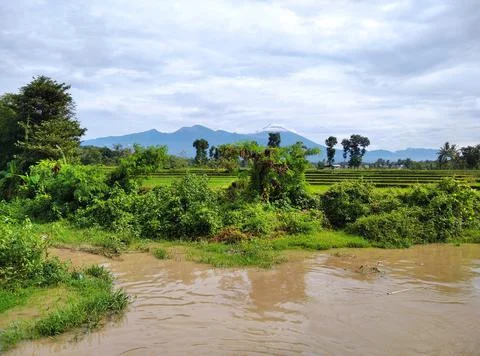 Panorama Stock Photos