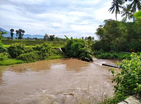 Panorama Stock Photos