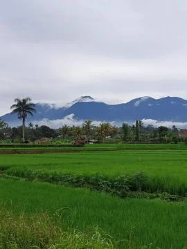 Panorama Stock Photos
