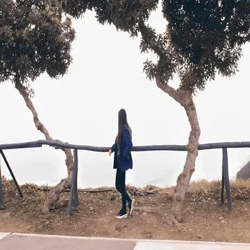 Panorama Stock Photos