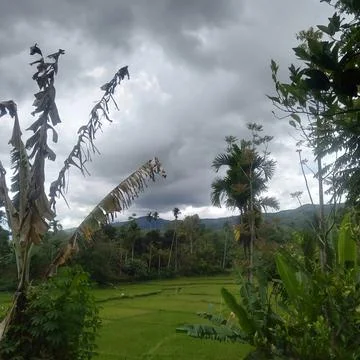 Panorama Stock Photos