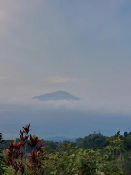 Panorama Stock Photos