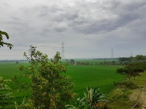 Panorama Stock Photos