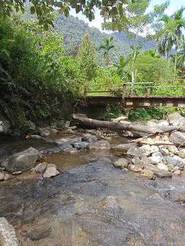 Panorama Stock Photos