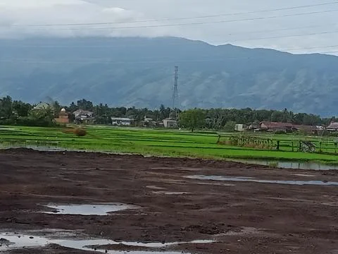 Panorama Stock Photos