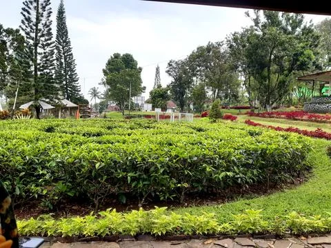 Panorama Stock Photos