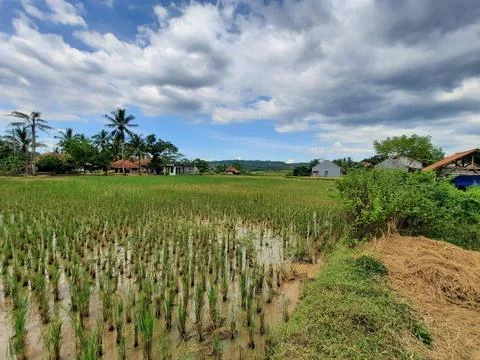 Panorama Stock Photos