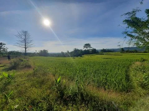 Panorama Stock Photos