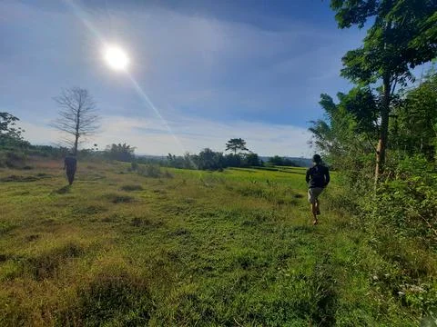 Panorama Stock Photos