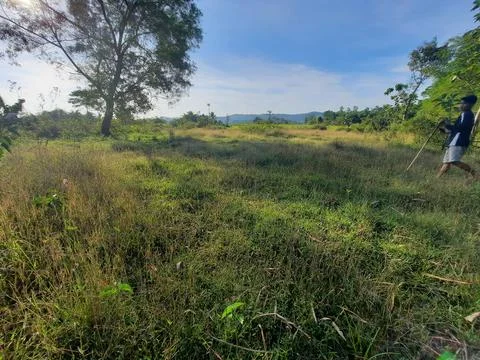 Panorama Stock Photos