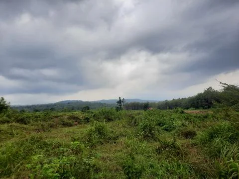 Panorama Stock Photos