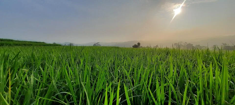 Panorama Stock Photos