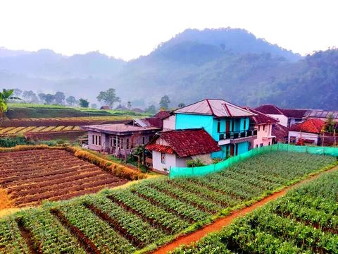 Panorama Stock Photos