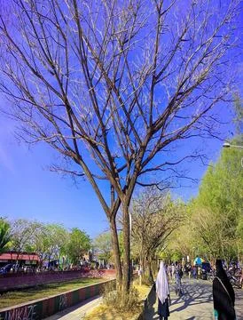 Panorama Stock Photos