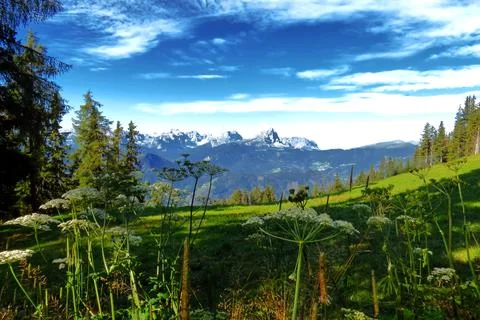 Panorama from the Plan de Corones path. Stock Photos
