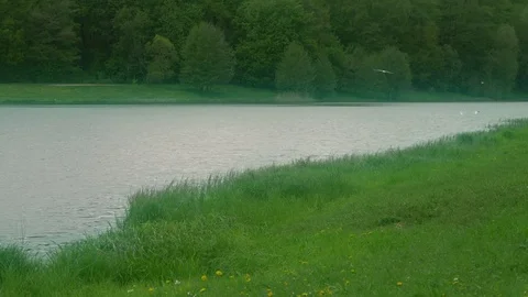 Panorama Of Pond And Forest Stock Footage 76220764