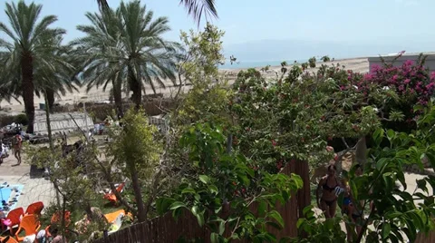 A panorama of pool is in a resort place Stock Footage 39716746