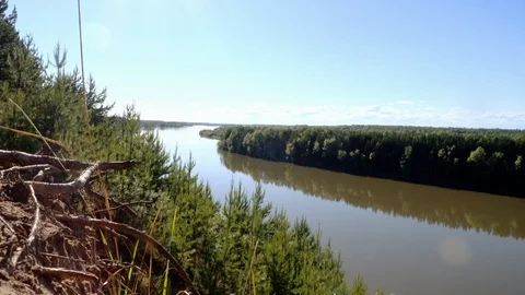 Panorama of the river in the forest Stock Footage 111583038