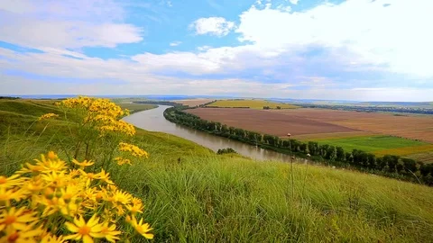 Panorama of the river in the green Stock Footage 69776417