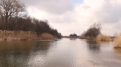 Panorama of the river in springtime Video stock 62865416