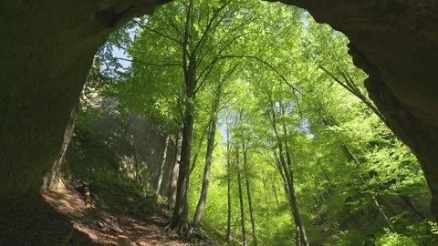Panorama of rocky arch cave in spring forest in green nature Stock Footage 276659101