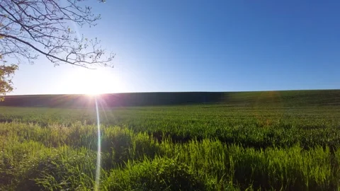 Panorama of rolling green hills at sunset with clear blue sky 库存影片 334795871