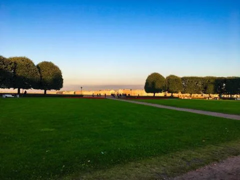 Panorama of round trees on a river at sunset Stock Photos