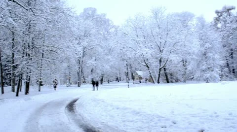 Panorama scene people walk trees dense snow layer winter park Stock Footage 22425361