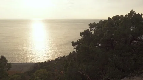 Panorama of the sea from a height Stock Footage 81790899