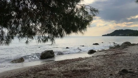 Panorama of the sea shore with pine branches Stock Footage 80593005