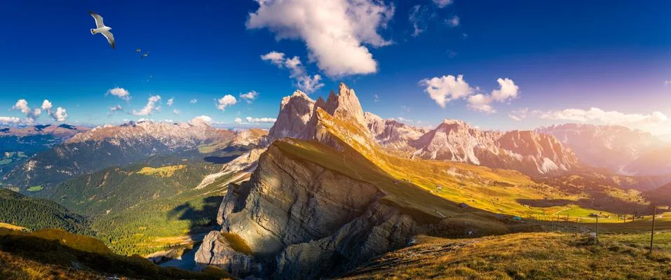 Panorama on Seceda with birds flying over the peaks. Trentino Alto Adige, Dol Stock Photos