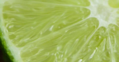 Panorama of the section of lime Stock Footage 152093332