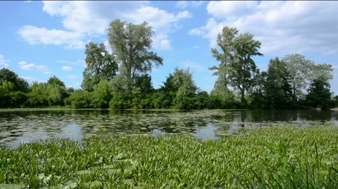 Panorama section of the river against the sky. Stock Footage 51569016