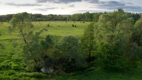 Panorama shot the area. Stock Footage 113662619