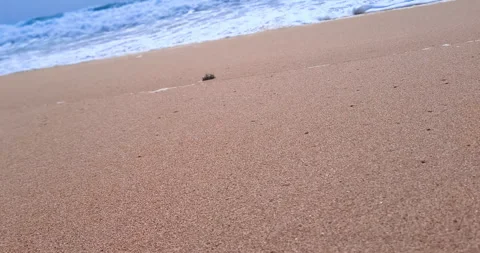Panorama shot from below of a sandy beach with sea under a blue sky, vacation Video stock 272582762