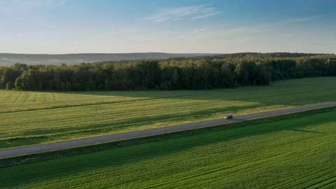 The panorama shot over the field. Stock Footage 112195860