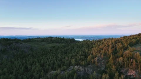 The panorama shot over the forest. 스톡 동영상 112095761