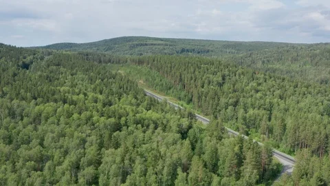 The panorama shot over the forest. Stock Footage 113645875