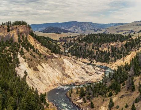 Panorama shot of zigtagging river in deep rocky canyon of yellowstone river w 스톡 사진
