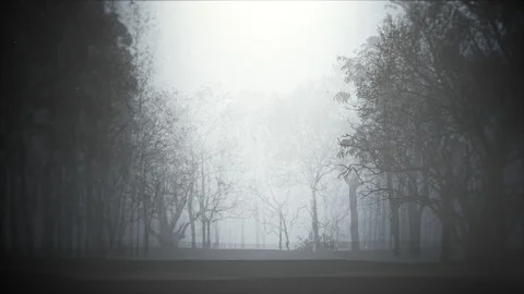 Panorama of the silhouette of an old dark forest with a fog. Stockbeeldmateriaal 217814829