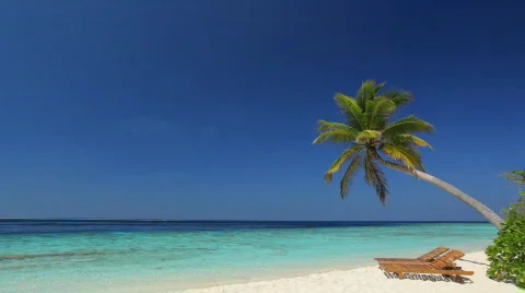 Panorama with a single palmtree Stock Footage 662636