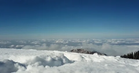 The panorama of the snow, clouds and pine trees. Snow crystals are visible. Stock Footage 98783980