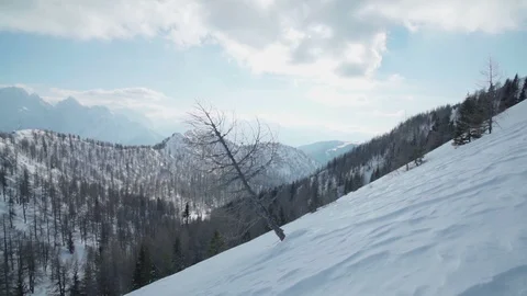 Panorama of a snow mountain with a tree in front Stock Footage 102579602