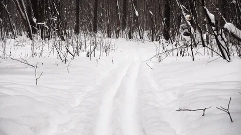 Panorama of the snowcoverage winter forest. 스톡 동영상 85452263