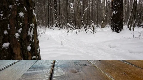 Panorama of the snowcoverage winter forest. Table top on the foreground. Video stock 85454390