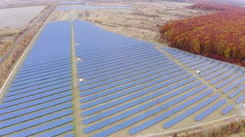 Panorama solar panel, Red oak Video stock 170913409